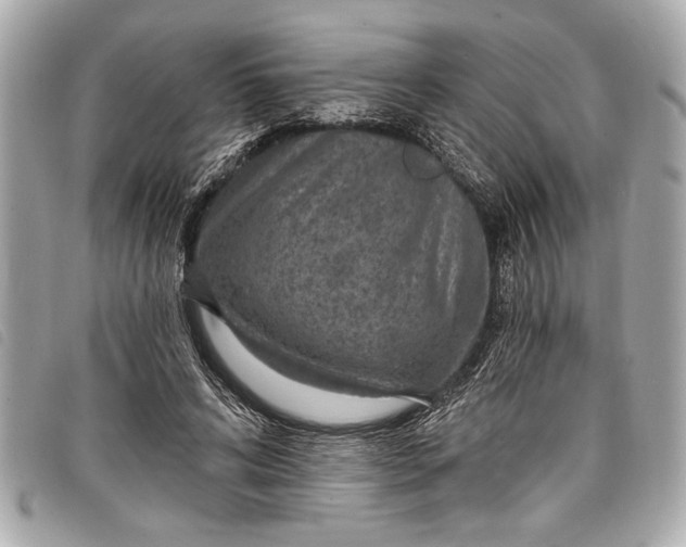 X0000098070592200804181135