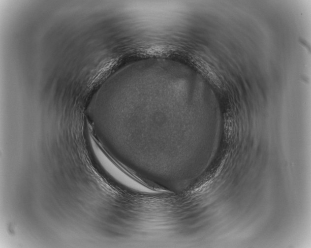 X0000098070593200804181135