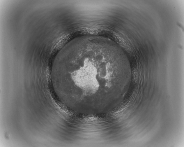 X0000098070594200804181135