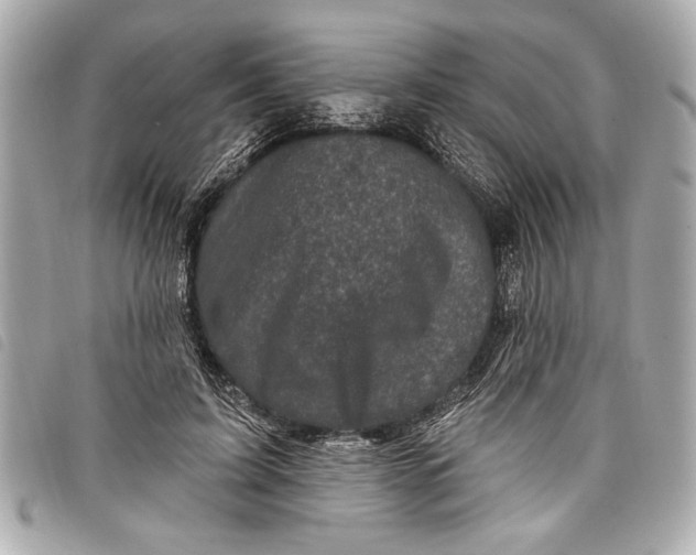 X0000098070595200804181135