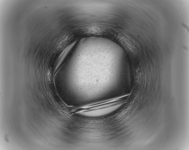 X0000098070597200804181135