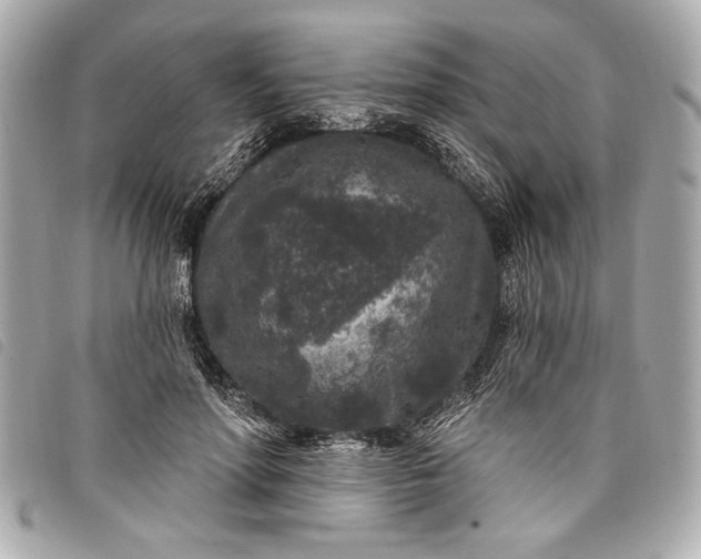 X0000098070598200804181135