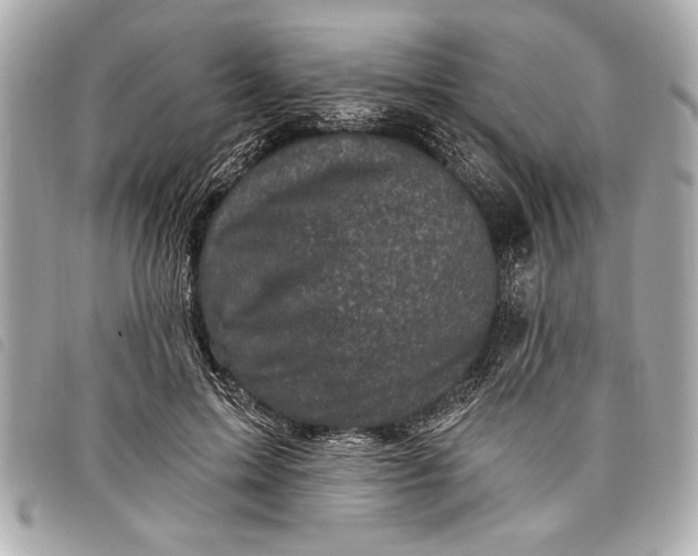 X0000098070599200804181135