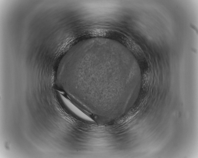 X0000098070600200804181135