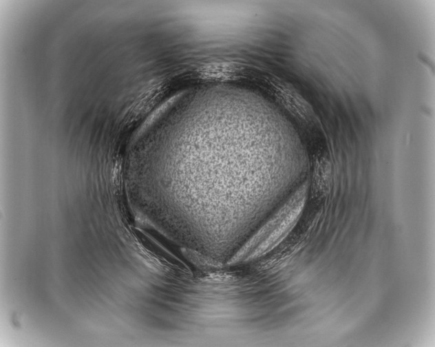 X0000098070601200804181135