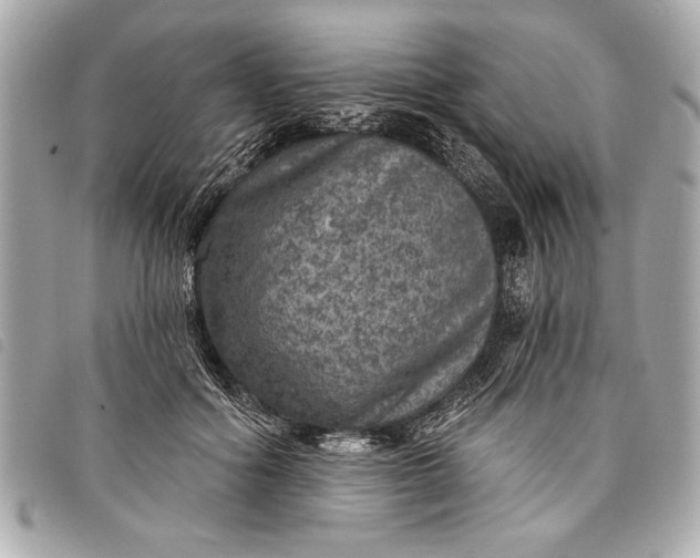 X0000098070602200804181135