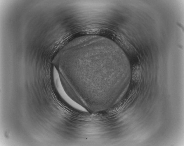 X0000098070604200804181135