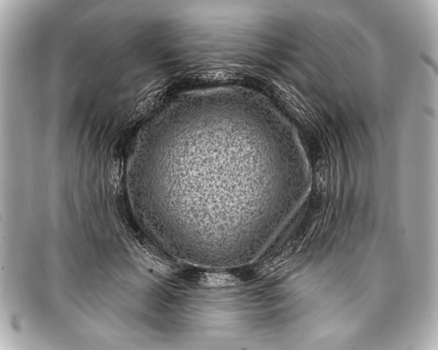 X0000098070605200804181135