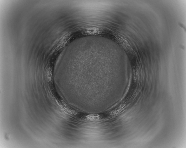 X0000098070606200804181134