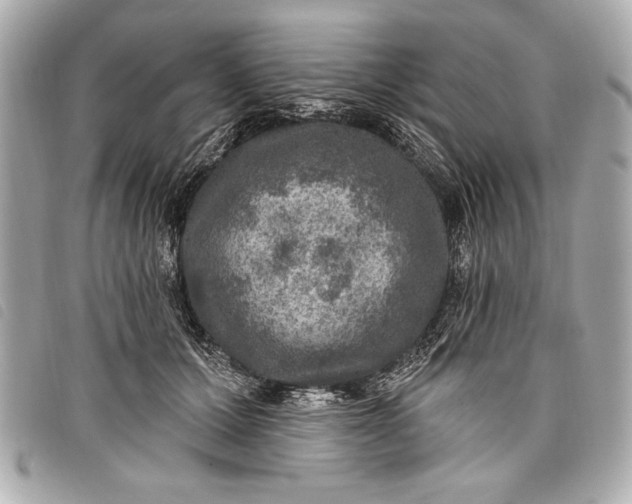 X0000098070607200804181134