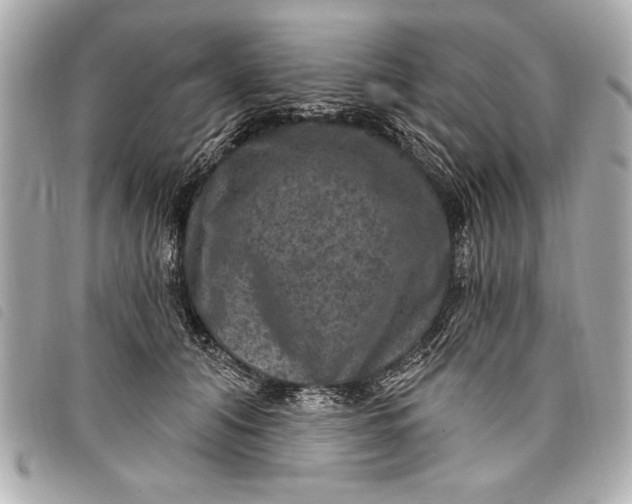 X0000098070608200804181134