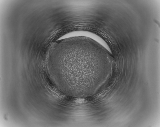 X0000098070609200804181134