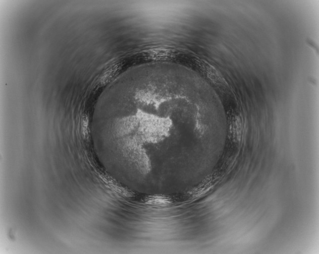 X0000098070610200804181134