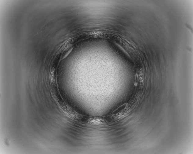 X0000098070611200804181134