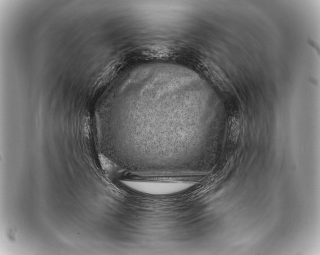 X0000098070612200804181134