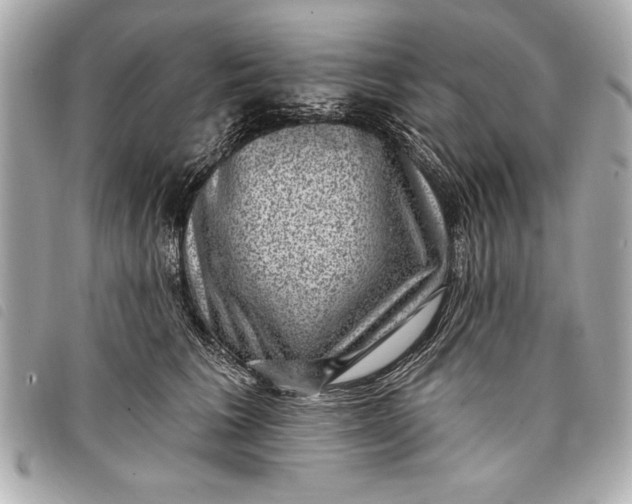 X0000098070613200804181134