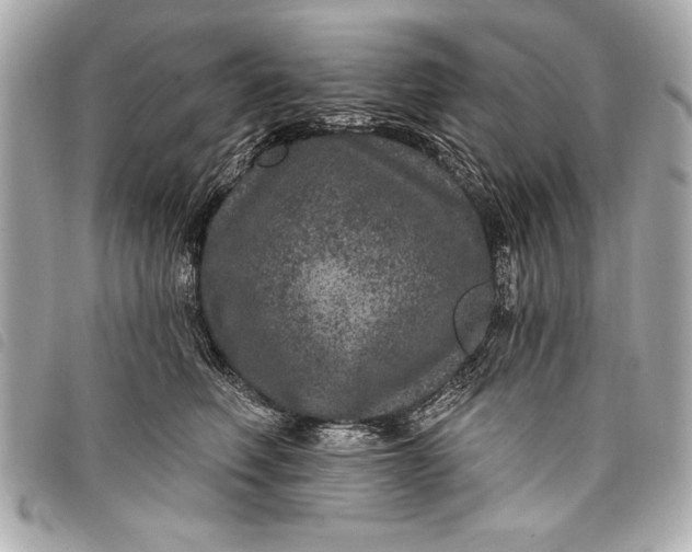 X0000098070614200804181134