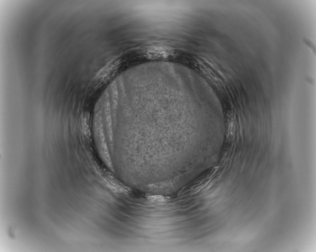 X0000098070616200804181134