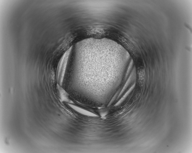 X0000098070617200804181134