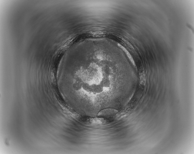 X0000098070618200804181134