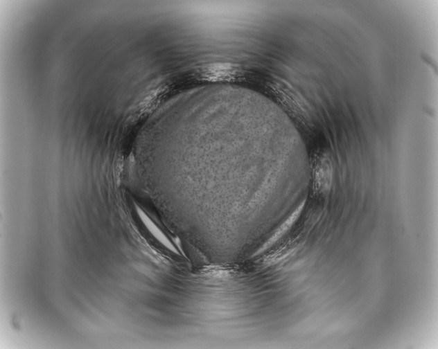 X0000098070620200804181134