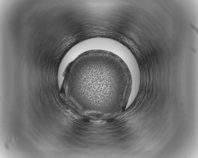 X0000098070621200804181134