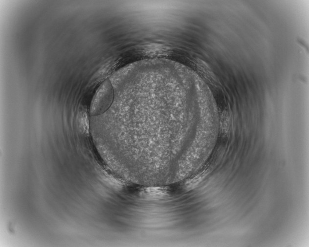 X0000098070622200804181134