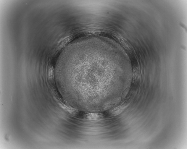 X0000098070623200804181134