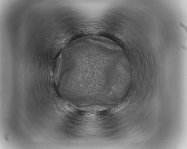 X0000098070624200804181134