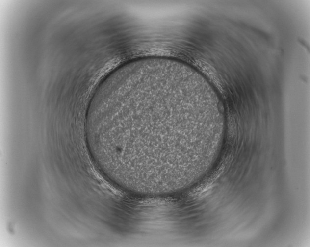 X0000098070625200804181133