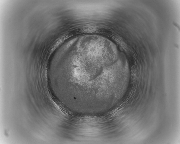 X0000098070626200804181133