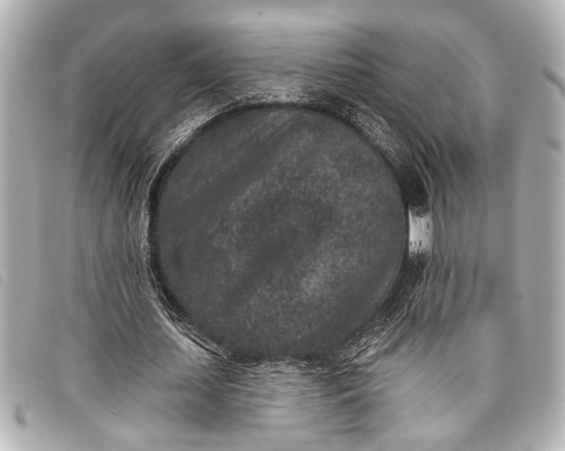 X0000098070627200804181133