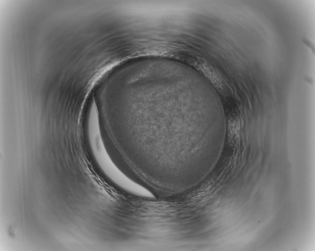 X0000098070628200804181133