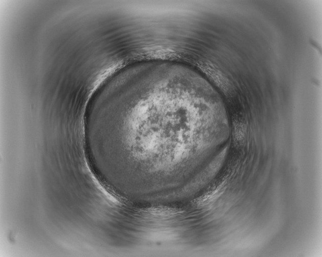 X0000098070630200804181133