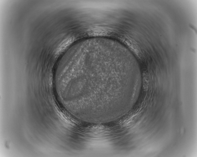 X0000098070631200804181133