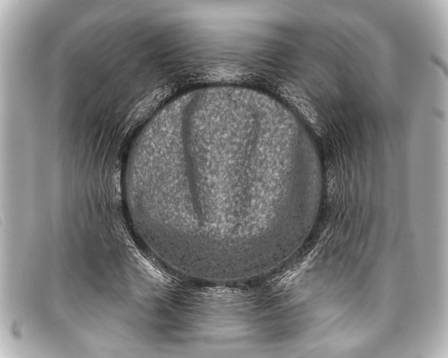 X0000098070633200804181134