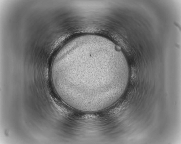 X0000098070636200804181134