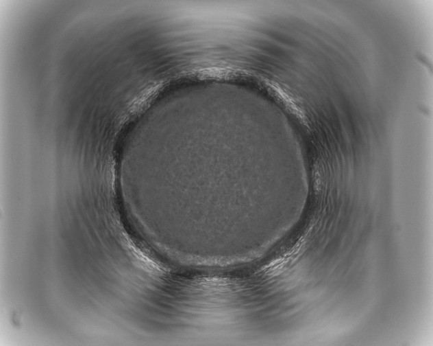 X0000098070637200804181134