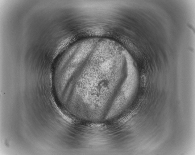 X0000098070638200804181134