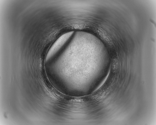 X0000098070639200804181134