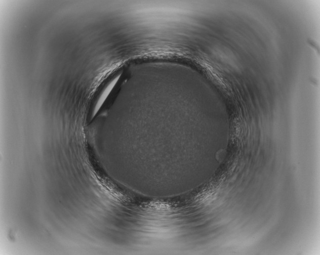 X0000098070640200804181134