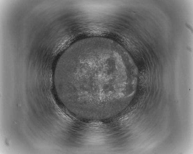 X0000098070642200804181134