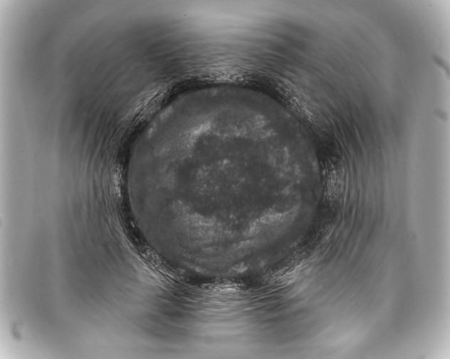 X0000098070643200804181134