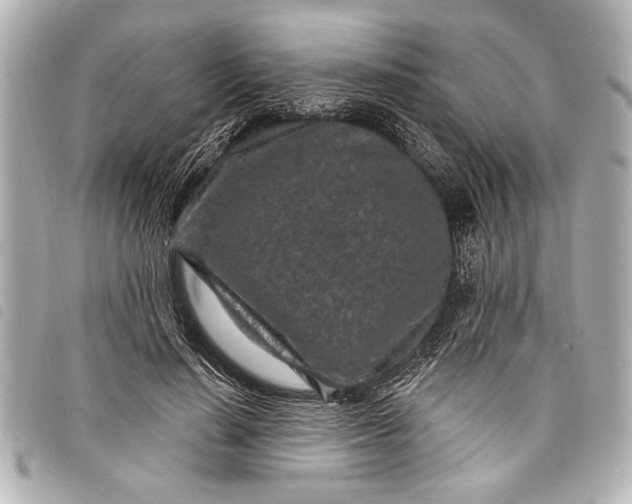 X0000098070644200804181134