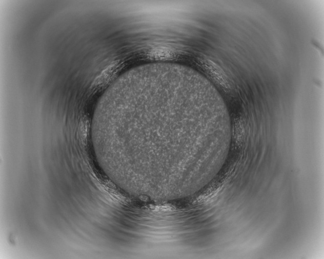 X0000098070645200804181134