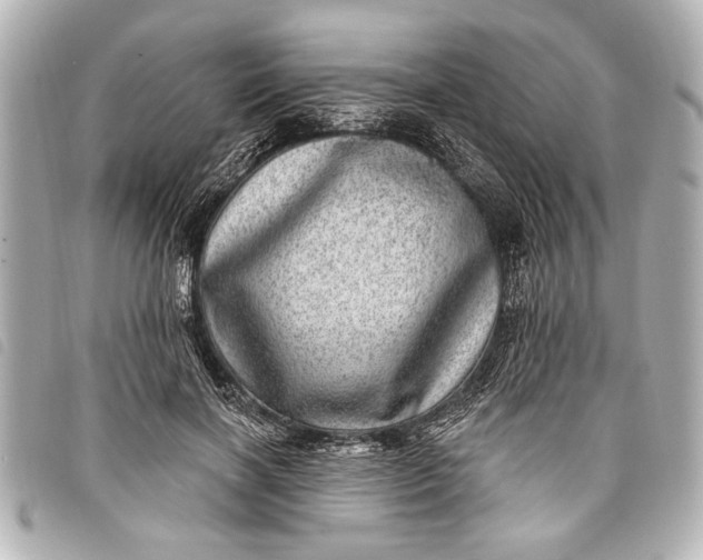 X0000098070646200804181134