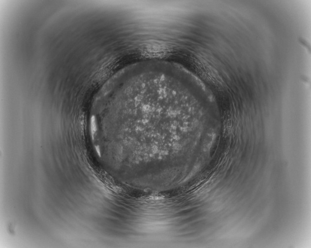 X0000098070647200804181134