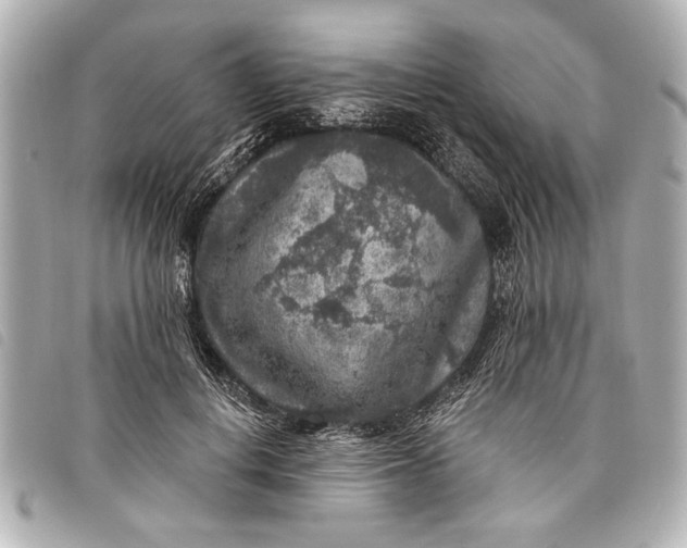 X0000098070648200804181134