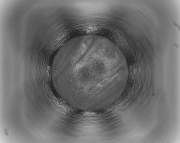 X0000098070650200804181134