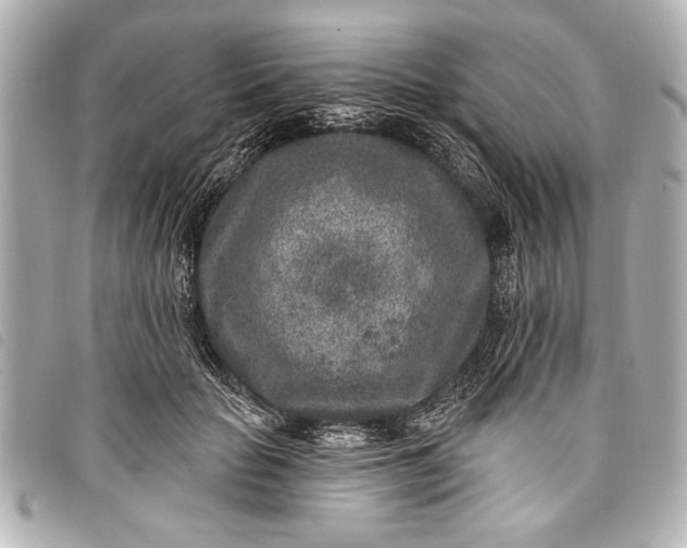 X0000098070653200804181134